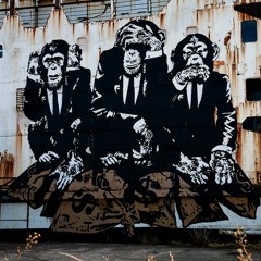 #7. Envirosuite, ooh Media and Rocket Lab