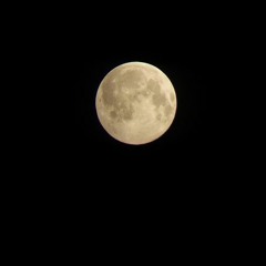 Jump to the moon