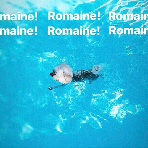 Romaine!