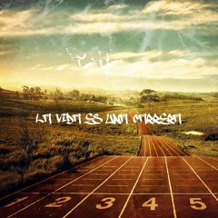 LA VIDA ES UNA CARRERA