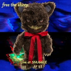 LIVE at Snuggle 2018