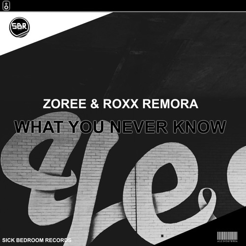 Zoree & Roxx Remora | What You Never Know (Radio Edit)