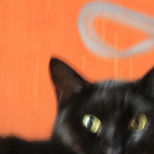 FOVOI TOU PRIGKHPA remix