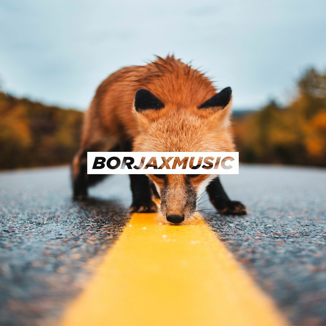 Stream TV ON THE RADIO - WOLF LIKE ME DISTANT FLOWS REMIX by