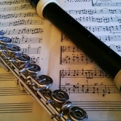 Fantaisie pour flûte seule en mi m de Telemann (1er mouvement)