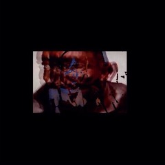 إلى قطتي الحبيبة