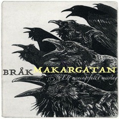 Bråkmakargatan - Ett Meningsfullt Misstag