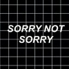 Demi Lovato Sorry Not Sorry Mp3