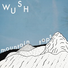 wüsh - drip (LP preorder in description)