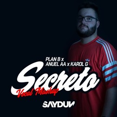 Plan B x Anuel AA x Karol G - Secreto (Saydun Vocal Mashup)