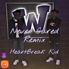 NEVER CARED REMIX (Prod. By 777 Studios)
