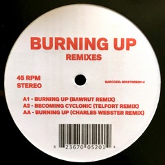 PREMIERE: Jimpster - Burning Up (Bawrut Remix) [Freerange Records]
