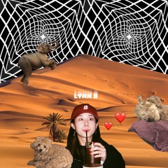 Lynn B Mixset Dec. 2018