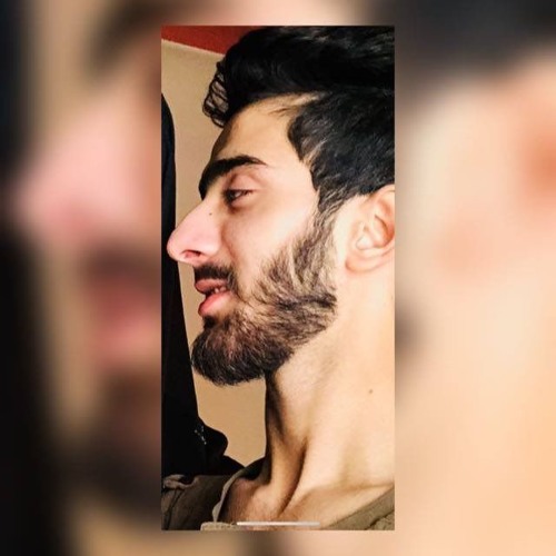 Hona Tha Pyar Ho Gaya L Rahat Fateh Ali Khan