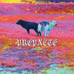 Track04
