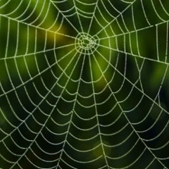 Paper Tags ft Austin Skinner