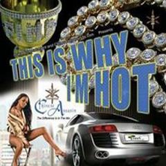 Chinese Assassin "This Is Why I'm Hot" Mix 2007