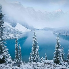 RHCP: Snow