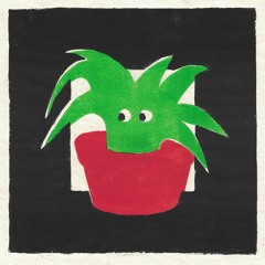 Musica Macondo on Jazz Fm with Tim Garcia Ft. Houseplants in the mix