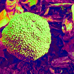 MartianWarehouseDistrict