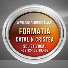 Catalin Cristea - Un Trandafir Creasti La Firida Mea.MP3