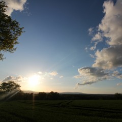 JT Franks The Love That Runs