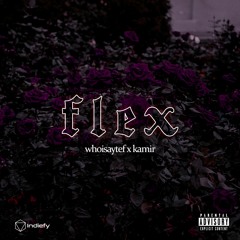 whoisaytef x kamir - FLEX