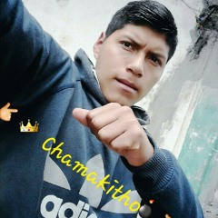 118.BPM☆El SaPo De Mi VeCiNa kEvInDj Rmx☆.wav