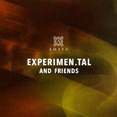 EXPERIEMEN.TAL & FRIENDS - DEC 14