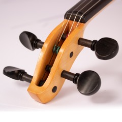 Shore Lord Of The Rings Concerning Hobbits