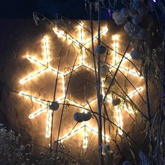 Carol Of The Bells ON THE VIOLIN