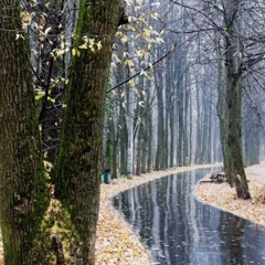 remember when it’s raining (prod. Nayz)