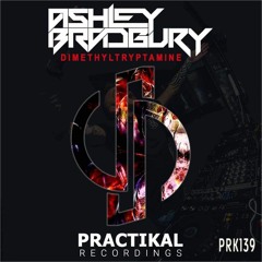 Ashley Bradbury - Dimethyltryptamine (Original Mix) Practikal Recordings SAMPLE
