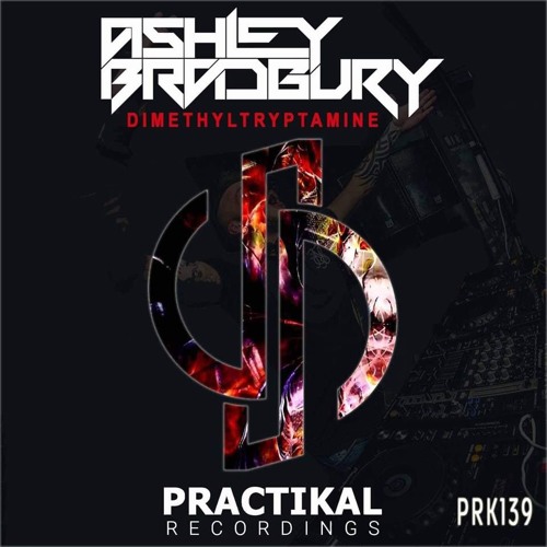 Ashley Bradbury - Dimethyltryptamine (Original Mix) Practikal Recordings SAMPLE