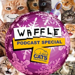 ~ Waffle - Episode 47 ~ Xmas 2018 Special ~