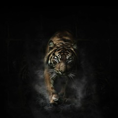 Joe El B - 4FA (prod By Jsn Zee)