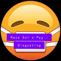 Disgusting ft/ Pzy (Prod. Wxstrr)