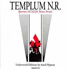 Templum N.R. - The Ashen Mirror