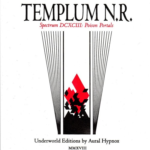 Templum N.R. - The Ashen Mirror