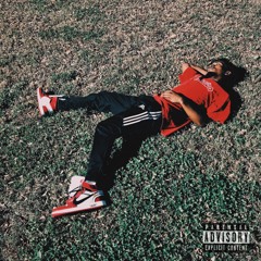 (ZIGGMONSTER)As the World spins freestyle