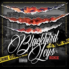 Blackbird Leys Remix (Mokuba Lives Beats) {Explicit}