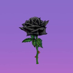 BlackRose