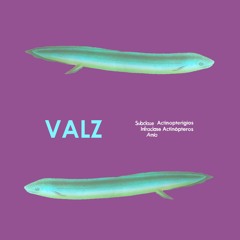 04 - Valz