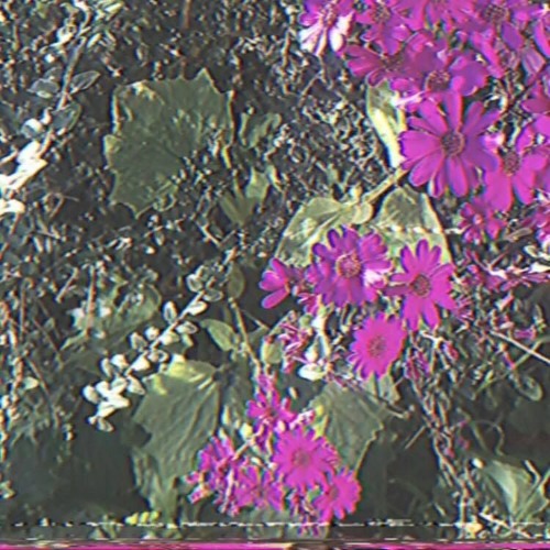 safe inside w/ luci </3