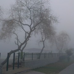 Will Lizard  - Nieuw Hoofdstuk (prod. D - Low)