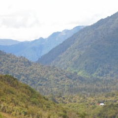 Petit homme dans l'univers