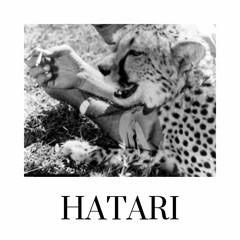 003 | In Situ Podcast - Hatari