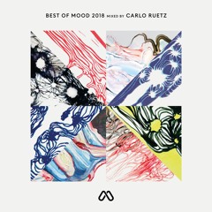 BEST OF MOOD 2018 - Mixed by Carlo Ruetz preview