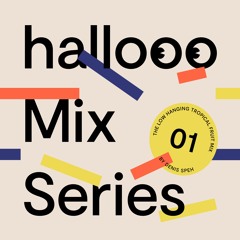 Hallooo Mix Series No. 1 – Denis Speh