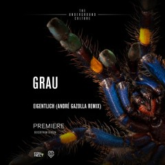 PREMIERE: GRAU - Eigentlich (André Gazolla Remix) [Jaw Dropping Records]